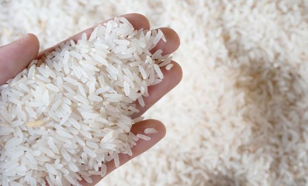 Leilão para compra de arroz não é mais necessário, diz Fávaro