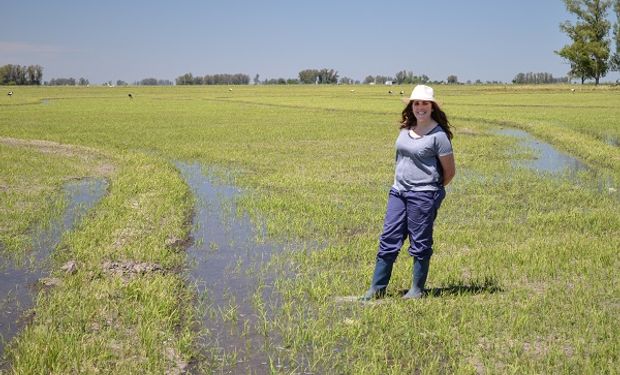 La Red de Mujeres trabaja por comisiones: educación y capacitación,  comunicación, producción y cuidado ambiental, y desarrollo local.