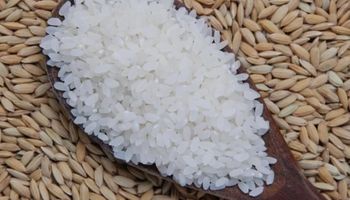 Abiarroz cria Fundo para promover e incentivar o consumo de arroz no Brasil