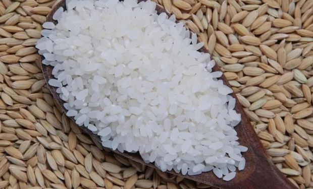 Abiarroz cria Fundo para promover e incentivar o consumo de arroz no Brasil