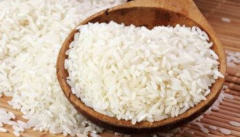 Corrientes completa su quinto envío de arroz a Irak