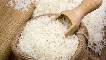 Se desplomaron 50% las exportaciones de arroz y peligran puestos de trabajo