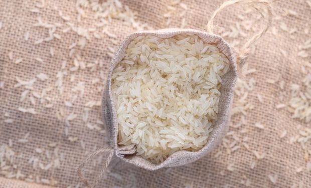 Governo confirma compra e define normas para importação de 300 mil toneladas de arroz