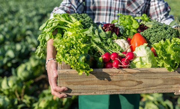 Plano Safra 22/23 é arma para conter inflação de alimentos