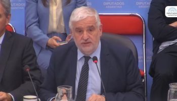 Vilella defendió el aumento de las retenciones en Diputados y planteó que hay una emergencia