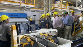 Semilleros: aumentan el salario de los trabajadores y se redefinen las categorías