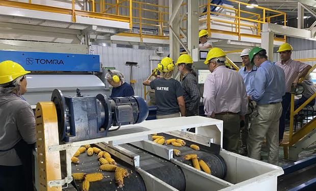 Semilleros: aumentan el salario de los trabajadores y se redefinen las categorías