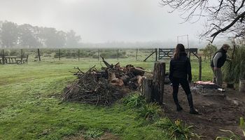 Las lluvias importantes llegarán en la segunda mitad de julio