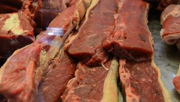 Ganaderos presionan para que no se llame carne a la producida en laboratorios