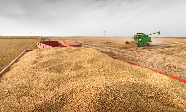 “No hacemos paro": el campo se posicionó sobre la marcha de la CGT