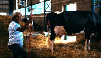 Cambios en retenciones: prorrogan la suspensión de los derechos de exportación de los productos lácteos