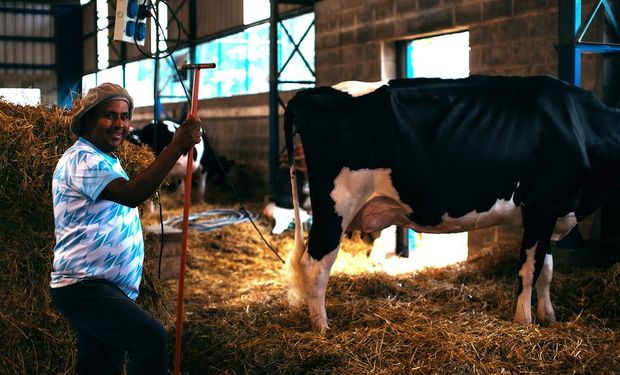 Cambios en retenciones: prorrogan la suspensión de los derechos de exportación de los productos lácteos