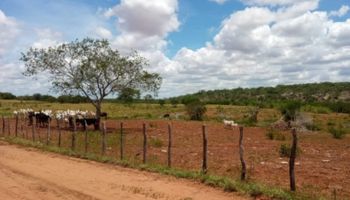 FPA propõe novas diretrizes para assentamentos rurais: “Incra não pode continuar criando sem regras claras”