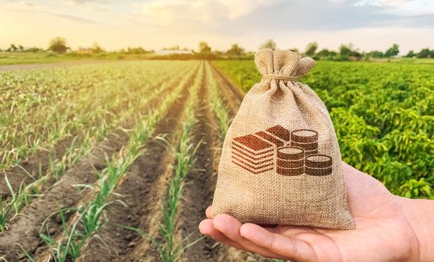 Asset Bank lança Fiagro de até R$ 200 milhões para impulsionar investimentos no setor