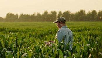 ¿Cómo es la nueva era del manejo de mezclas de fitosanitarios?
