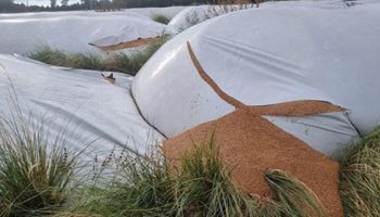 CRA se pone al hombro las denuncias por inseguridad rural ante la falta de respuestas del Estado: cómo funciona