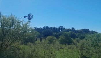 Fatal ataque de un toro: murió una mujer que realizaba tareas en un establecimiento