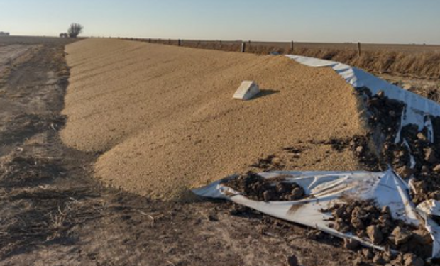 Ataques a silo bolsas: denuncian nuevas roturas desde distintos puntos del país y apuntan al Presidente