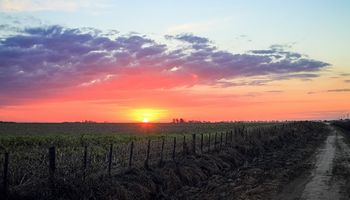Tiempo estable y seco para el inicio de 2023: qué dice el pronóstico día por día