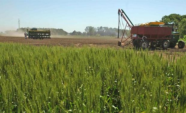 Hay un debate por el impacto del atraso cambiario en el agro.