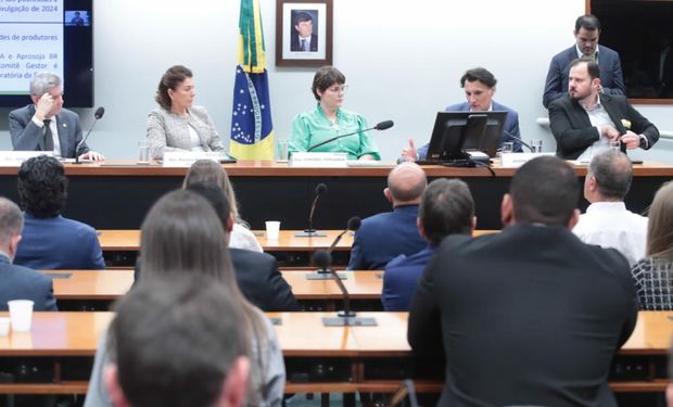 Comissão da Câmara debate moratória da soja e da carne e prepara CPI