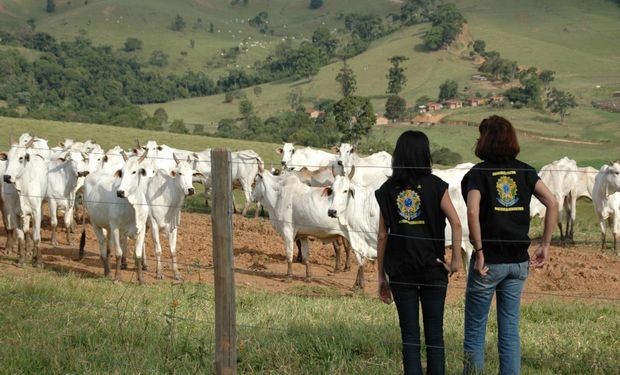 Neste período, atividades essenciais de defesa agropecuária seguem normalmente. (foto - ANFFA)