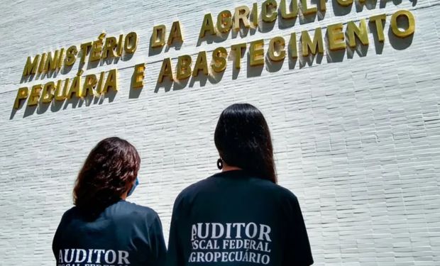 Ministro da Agricultura e Pecuária, Carlos Fávaro recebeu representantes do Sindicato Nacional dos Auditores Fiscais Federais Agropecuários hoje. (Foto - Anffa)