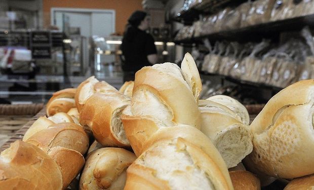 Anticipan un aumento del 25 % del pan en los próximos días: qué explicación dan los panaderos