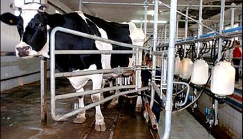 Productores de leche se reúnen en Agricultura