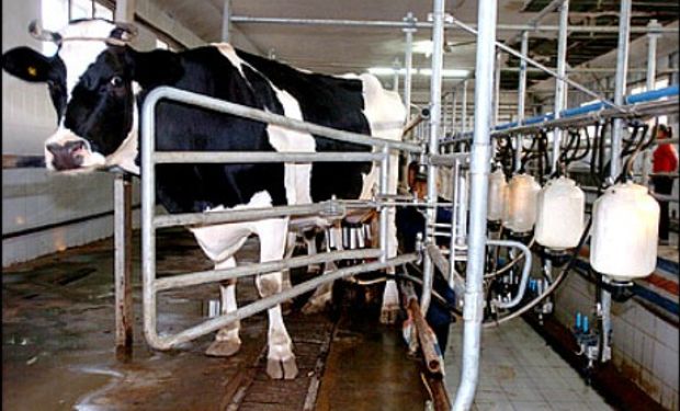 Advierten sobre el crecimiento de la leche