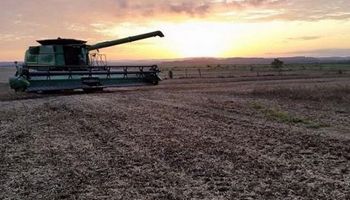 Soja en Brasil: nuevo aumento en la estimación de producción