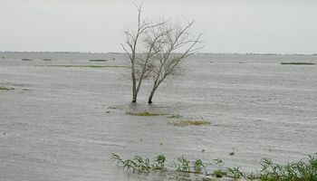 Río Paraná: estiman un aumento del 84 % en su caudal