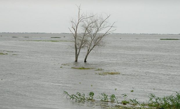Además, asegura que El Niño continuará debilitándose hasta junio.