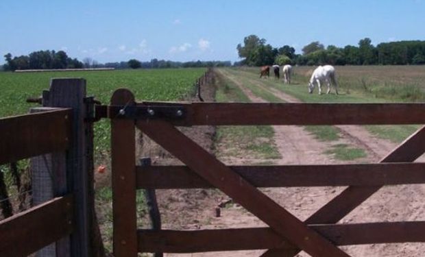 El mayor impacto fiscal lo sufrirán explotaciones unipersonales y sociedades de hecho.