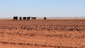 Impacto de El Niño: una sequía histórica golpea a regiones productoras de Australia