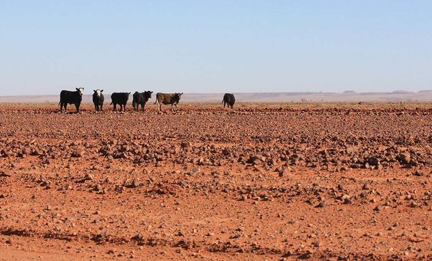 Impacto de El Niño: una sequía histórica golpea a regiones productoras de Australia