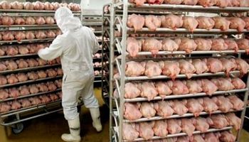 Brasil arriesga sus colocaciones de carne en los mercados árabes