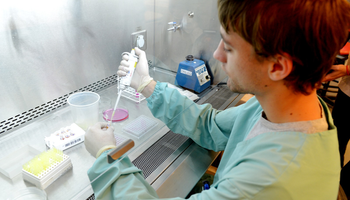 Argentina acelera la aprobación de productos genéticamente modificados y marca un récord 