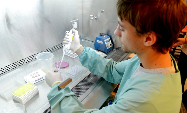 Argentina acelera la aprobación de productos genéticamente modificados y marca un récord