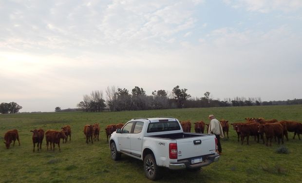 Cayó la venta de autos y pick ups en mayo, pero aseguran que la demanda está y sigue activa