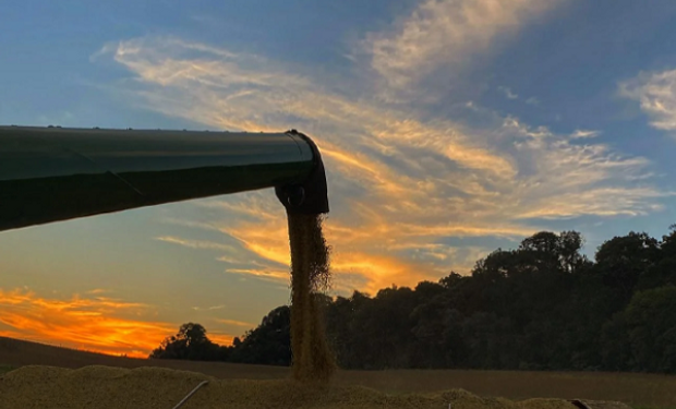 Avance impresionante: Brasil se puso al día con la cosecha de soja