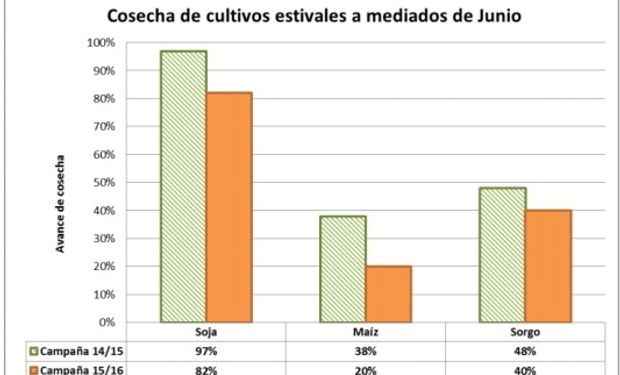 Cosecha en Córdoba - Bolsa de Cereales de Córdoba.