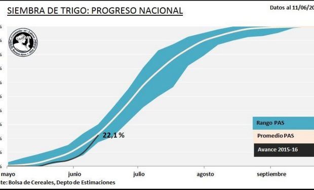 Progreso nacional de siembra de trigo. Fuente: BCBA.