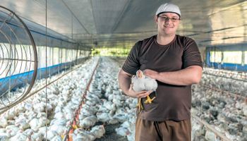 Cadeia de aves e suínos coloca 11 cidades entre melhores IDH do Brasil
