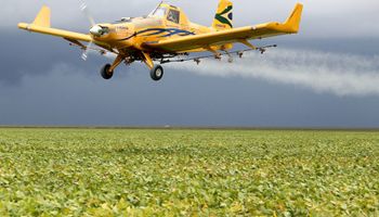 Aviação agrícola cresce sem parar, mas aeronaves têm em média 22 anos de uso