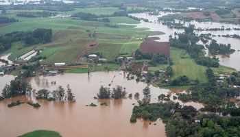 Avicultura gaúcha soma R$ 182,9 milhões de prejuízo após catástrofe climática