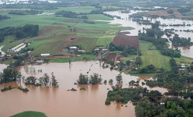 Avicultura gaúcha soma R$ 182,9 milhões de prejuízo após catástrofe climática