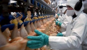 Etchevehere recibió reclamo de empresarios avícolas en crisis