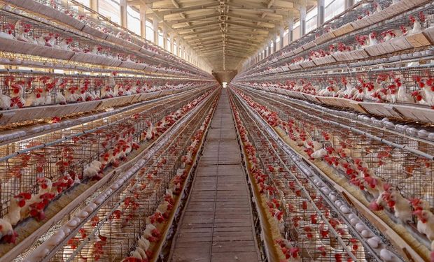 Inovador, FIDC Agro do Paraná arrecada R$ 261 milhões para financiar produção no estado