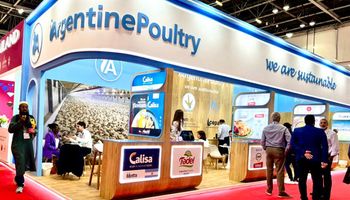 Por qué Dubái se volvió clave para el futuro exportador del pollo argentino